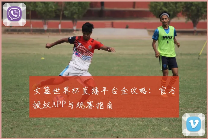 女篮世界杯直播平台全攻略：官方授权APP与观赛指南