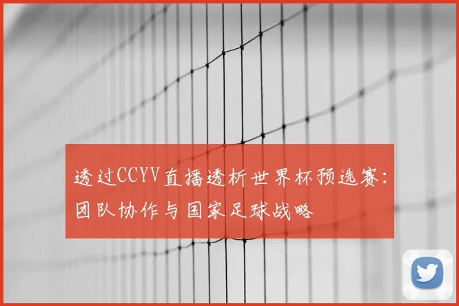 透过CCYV直播透析世界杯预选赛：团队协作与国家足球战略