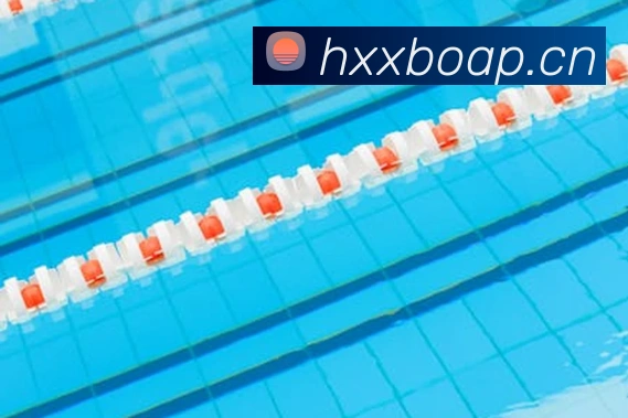 kaiyun.cn最新资讯平台生态图